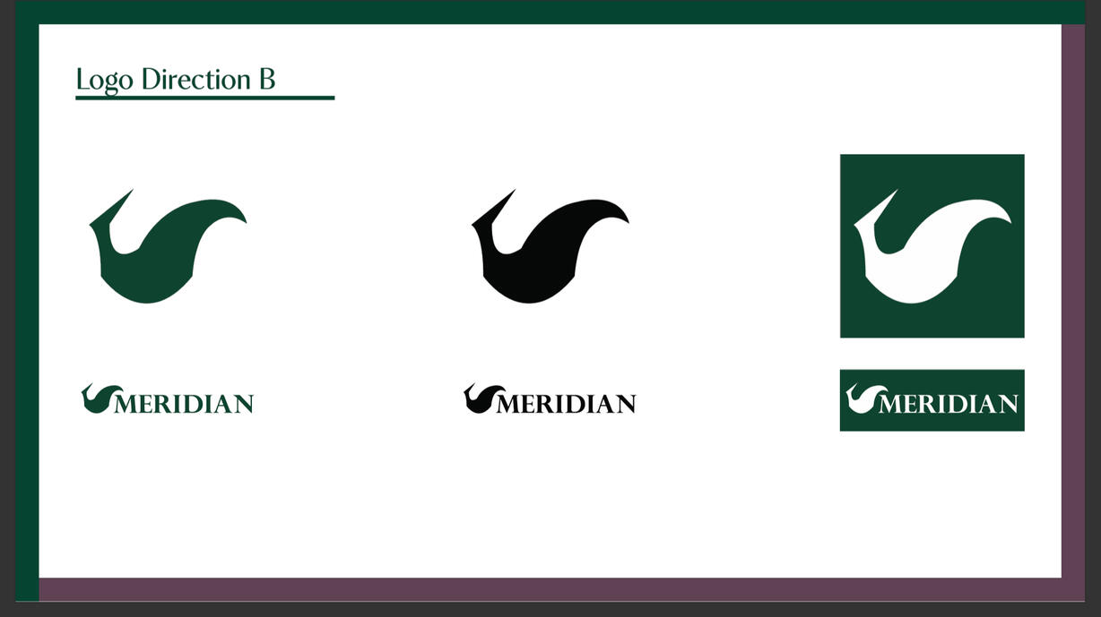 Meridian Logo Direction